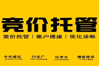 Sem优化公司成功案例：快速占领市场